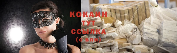тгк Бородино