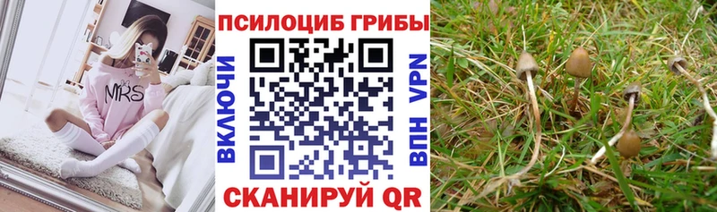 Галлюциногенные грибы Magic Shrooms  Сыктывкар 
